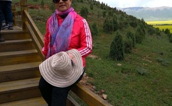 无人区卡一卡二卡三乱码入口